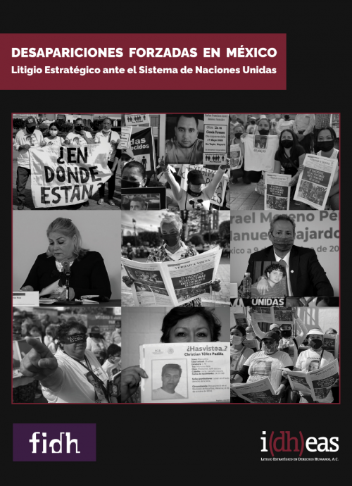 Desapariciones forzadas en México. Litigio estratégico ante el Sistema de Naciones Unidas