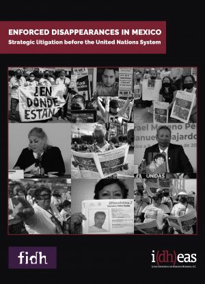 Strategic litigation before the United Nations System