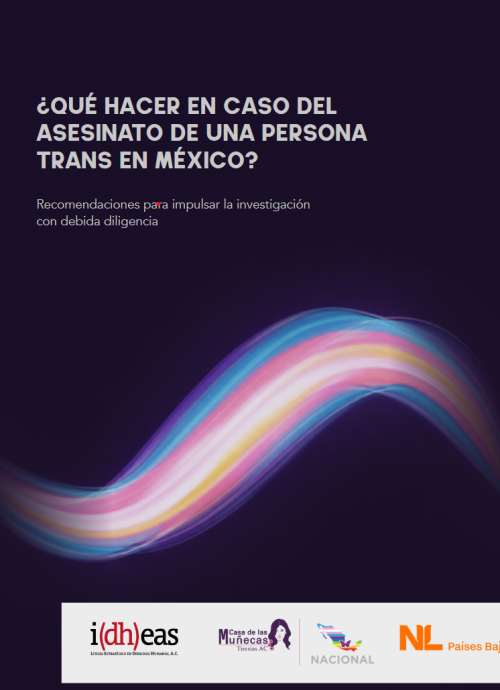 ¿Qué hacer en caso del asesinato de una persona trans en México? Recomendaciones para impulsar la investigación con debida diligencia