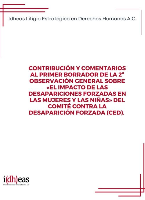 Contribución y comentarios al primer borrador de la 2ª Observación General sobre «El impacto de las desapariciones forzadas en las mujeres y las niñas» del Comité contra la Desaparición Forzada (CED). 